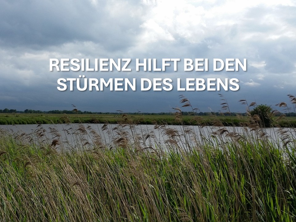 Ein See, stürmische Wolken und im Vordergrund Schilfgras, das sich im Wind biegt. Das ist Resilienz bezogen auf die Natur.